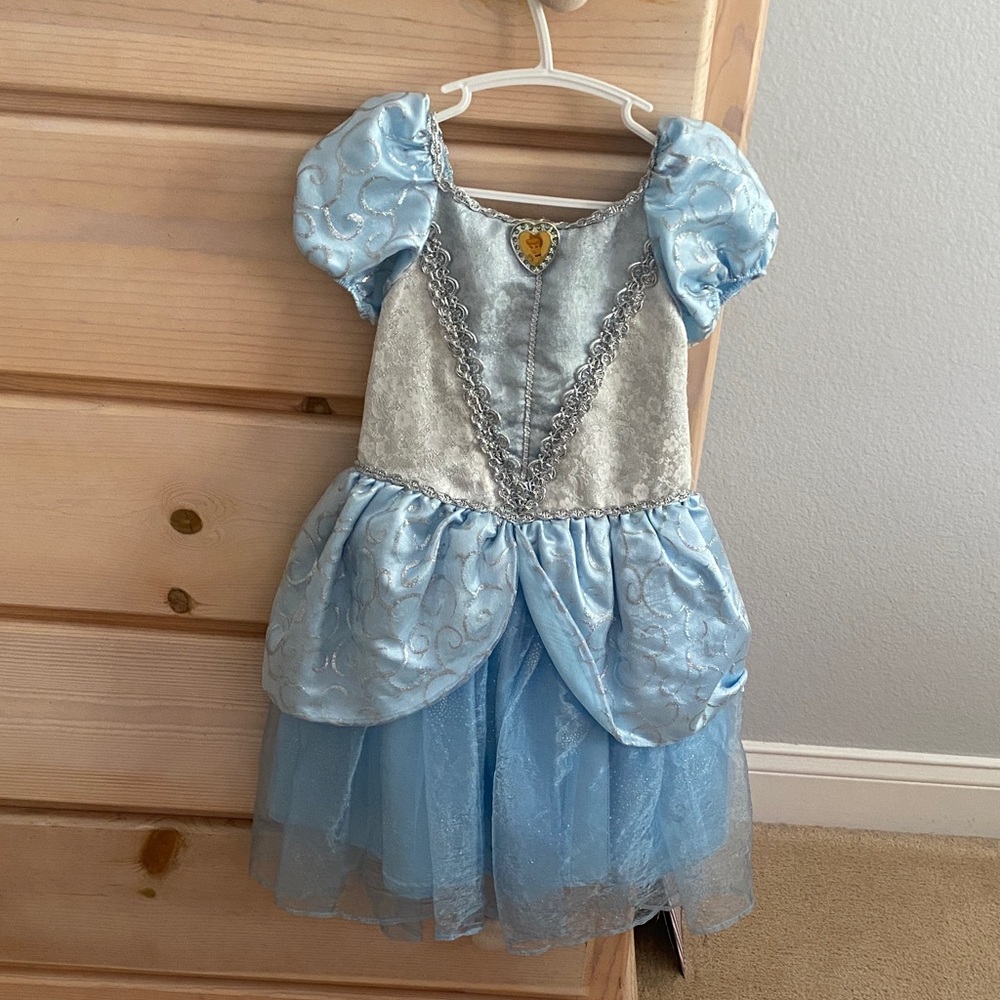 Blue Princess Kids Costume